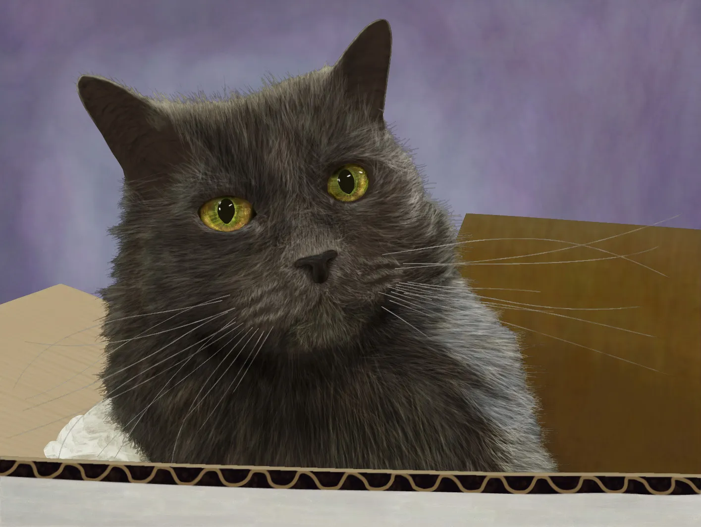 Digital drawing a friends cat